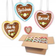 Bavarian sayings - Gingerbread hearts mixed in a carton