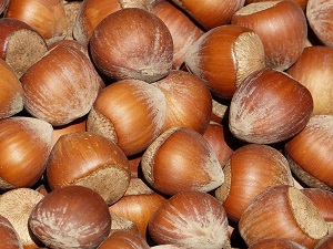 Haselnüsse als Zutaten für Lebkuchen