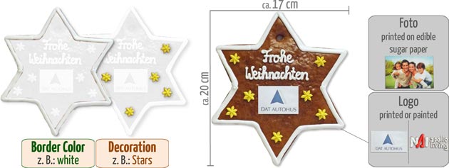 Infographic Gingerbread-Star