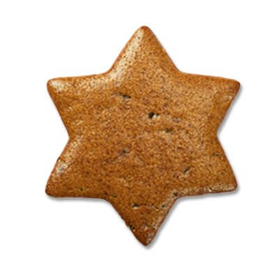 Lebkuchen Stern Rohling zum Verzieren - ohne Alles, 10cm