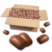 Honey Printen gingerbread with milk chocolate, loose goods - 2 kg